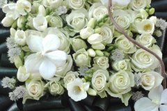 montage-carre-court-